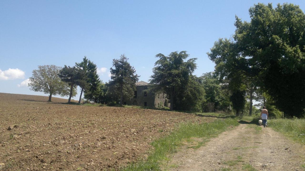 Appartamento Miralago بولسينا المظهر الخارجي الصورة